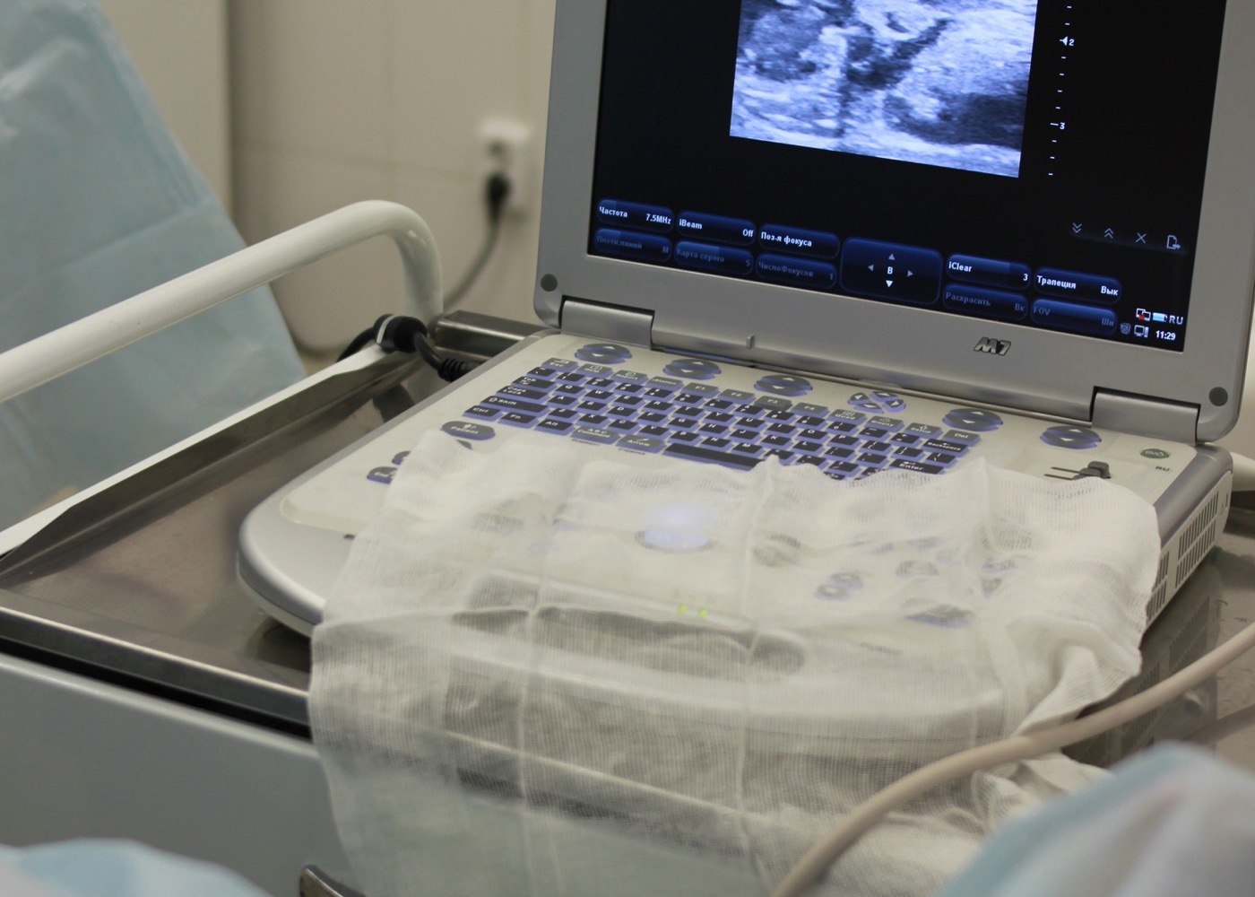Portable ultrasound machine at a patient bedside